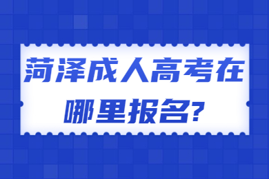 菏泽成人高考在哪里报名