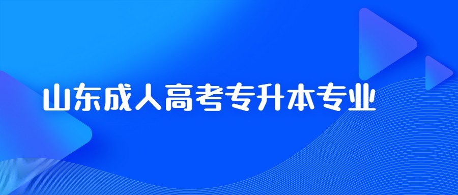 山东成人高考专升本专业