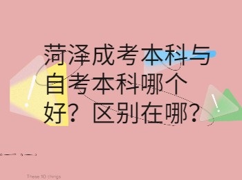 菏泽成考本科与自考本科哪个好？区别在哪？