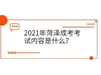 2021年菏泽成考考试内容是什么？