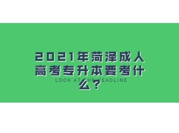 2021年菏泽成人高考专升本要考什么