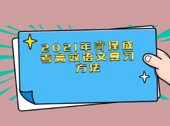 2021年菏泽成考高效语文复习方法