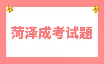 2024年菏泽成人高考高起点《英语》精选试题及答案(4)